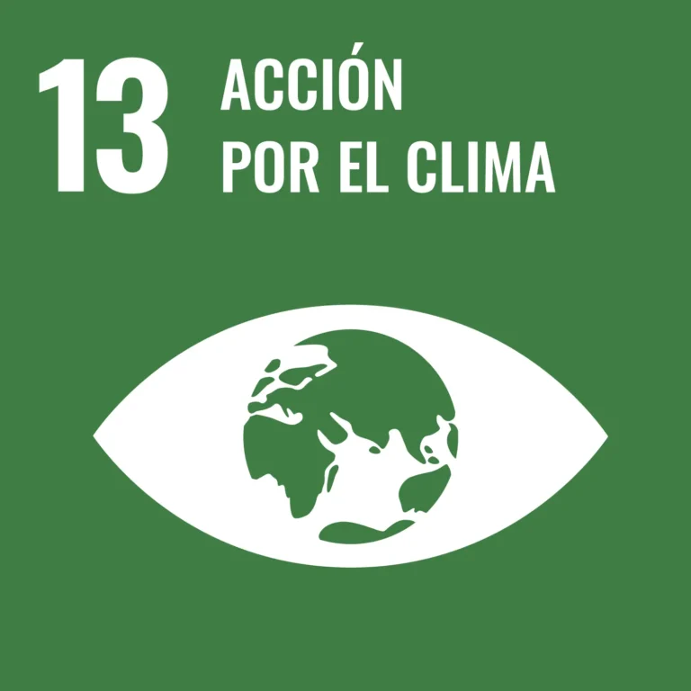 logo-acción-por-clima