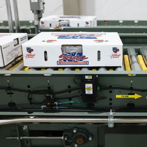 transportador-presion-cero-hytrol